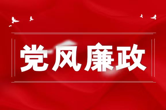 以案释纪-违反中央八项规定精神问题（五）