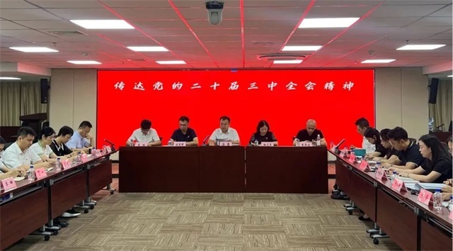 球王会网页版党委传达学习贯彻党的二十届三中全会精神