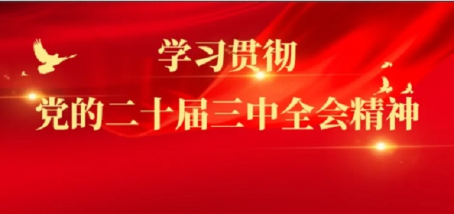 球王会网页版认真学习贯彻落实党的二十届三中全会精神