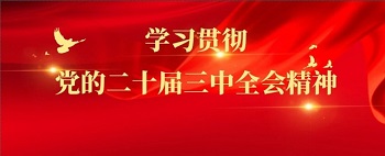 学习贯彻党的二十届三中全会精神丨全面提高干部现代化建设能力